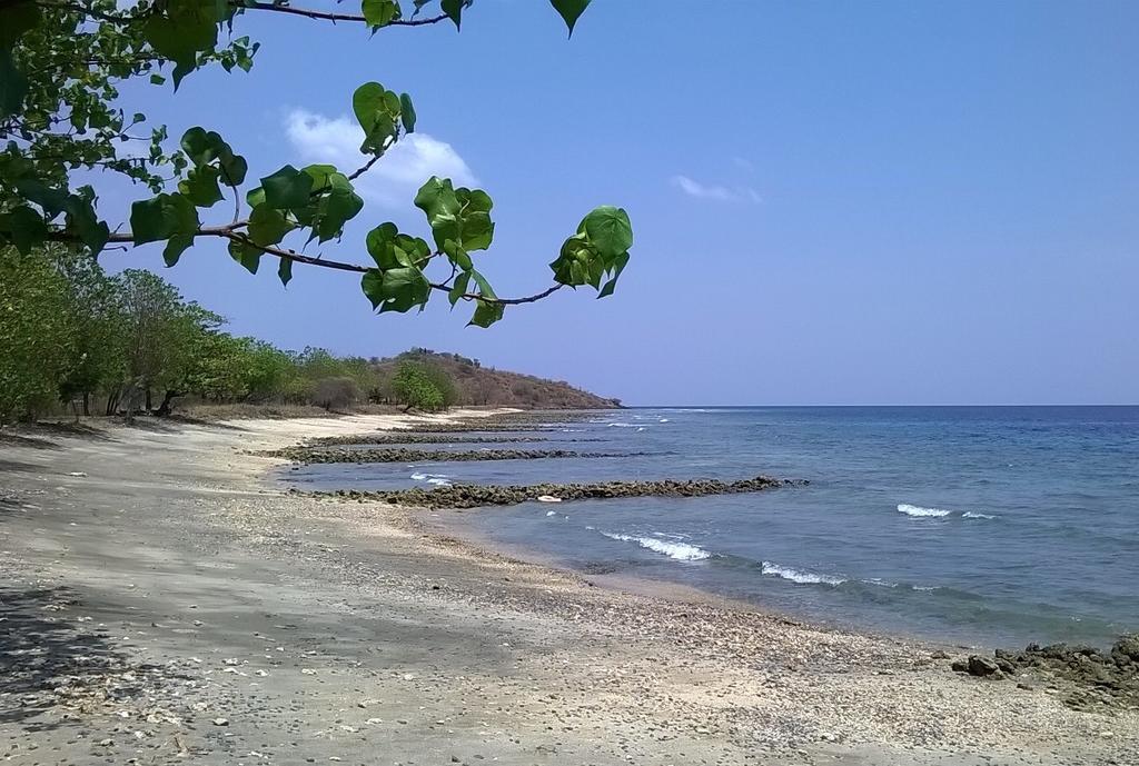 Taman Dewi Sri Villa Et Bungalow 페무테란 외부 사진